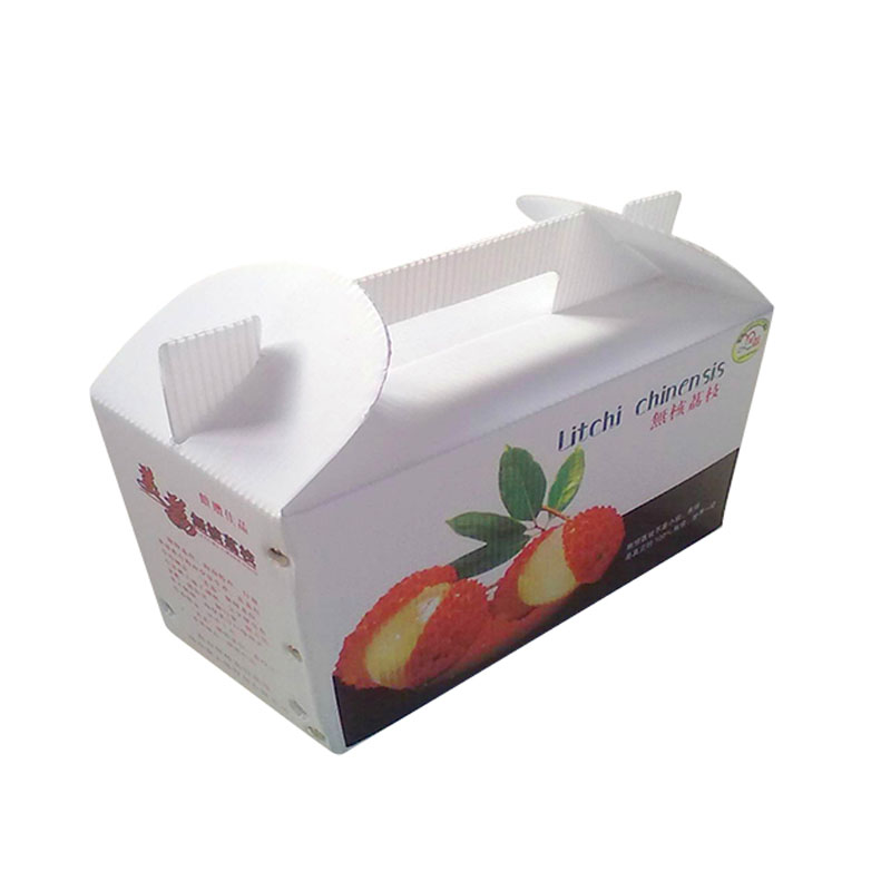 食品箱 (1)